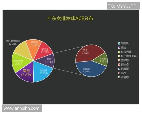 武汉排球队比赛经验深度解析与发展策略探讨